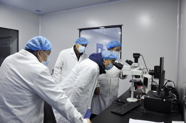 _DSC0057_副本 _DSC0057_副本.jpg