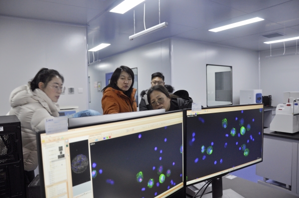 _DSC0029_副本 _DSC0029_副本.jpg