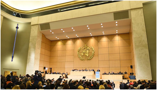 ����������ῪĻ��������3��10�ڡ�����Ŀ��