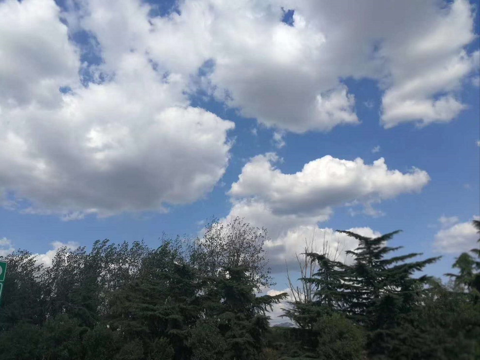 ��ʱ������̬ũ�������´���