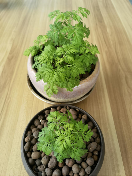 ΢ÐÅͼƬ_20220609083523 ΢ÐÅͼƬ_20220609083523.png