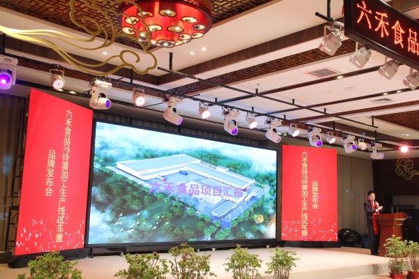 8db9b5052e374e469e963e58acc5a49f~noop 8db9b5052e374e469e963e58acc5a49f~noop.jpg