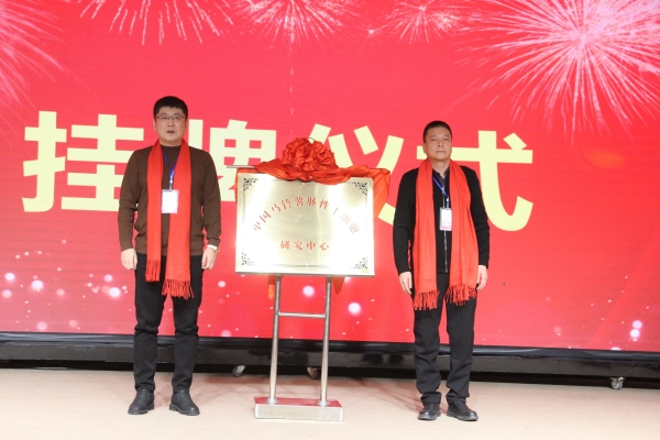 3a8120eff22f44a5bceb6463d7494562~noop 3a8120eff22f44a5bceb6463d7494562~noop.jpg