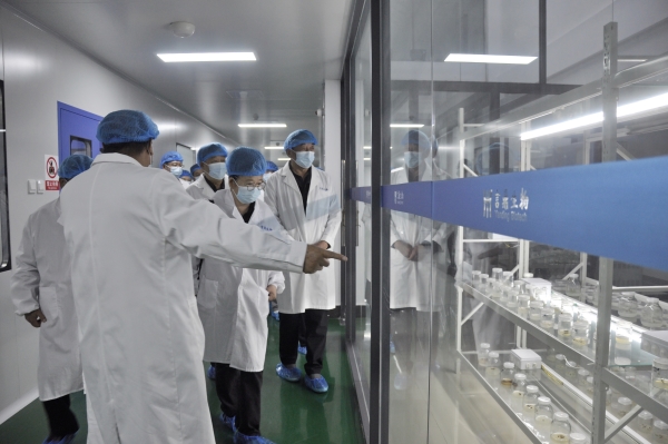 _DSC0020_副本 _DSC0020_副本.jpg