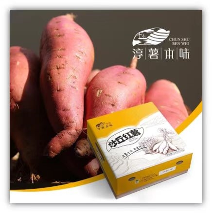 微信图片_20241125131021 微信图片_20241125131021.jpg