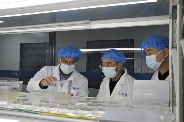 _DSC0027_¸±±¾ _DSC0027_¸±±¾.jpg