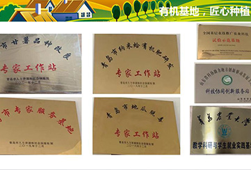 ��ҵ����