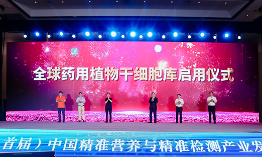 ���ڴ������ʱ������������������������ȫ��ҩ��ֲ���ϸ����