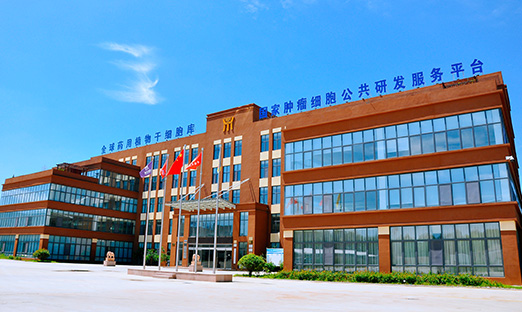 ϲ������ʱ��������ǣͷ��Ŀ�����Ƽ��������ص��з������ص�ר��