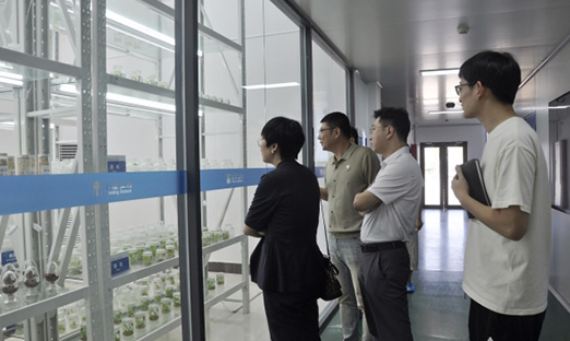 �ൺ��ũҵũ�����ҵ������ͨ����һ��ݰ�ټ���ָ��