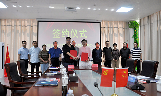 ǿǿ�Žᣬ������������������׼������̬������ʱ�����������Դ����濢ս�Ժ���